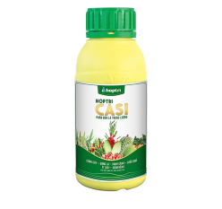 HỢP TRÍ CASI