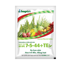 HỢP TRÍ HK NPK