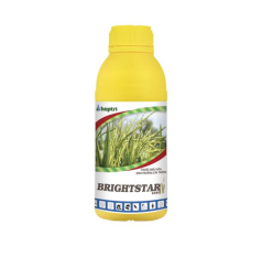 BRIGHTSTAR 25EC