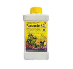 BORAMIN CA